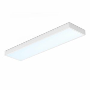 HOFTRONIC™ LED Paneel met Philips driver – 30×120 cm – 36 Watt – 4860lm (135lm/W) – 6500K daglicht wit – Incl. opbouwframe – Flikkervrij – UGR22 – 5 jaar garantie Bestellen via ledinbouwverlichting